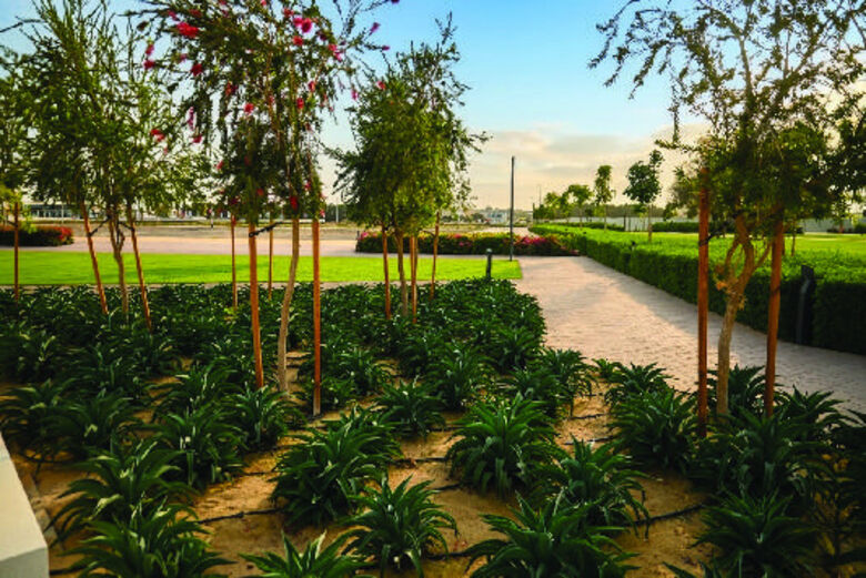 Softscape planting by KTC
