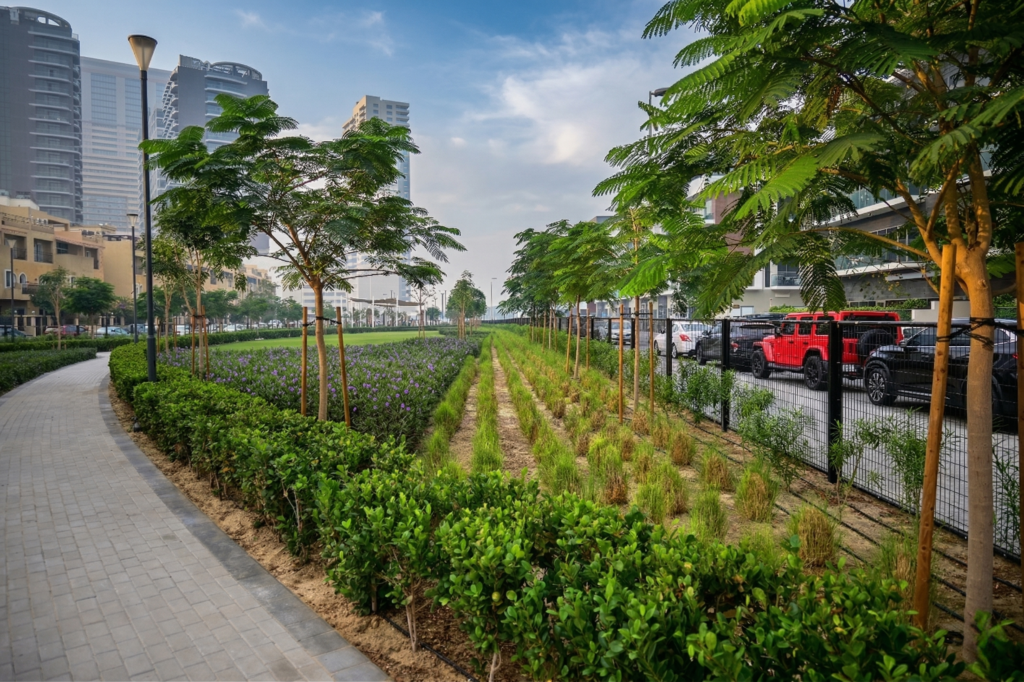 Softscape landscaping